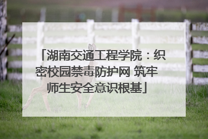 湖南交通工程学院：织密校园禁毒防护网 筑牢师生安全意识根基