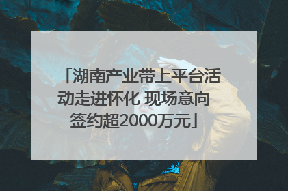 湖南产业带上平台活动走进怀化 现场意向签约超2000万元