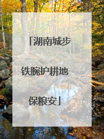 湖南城步铁腕护耕地保粮安