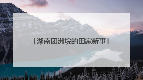 湖南团洲垸的田家新事