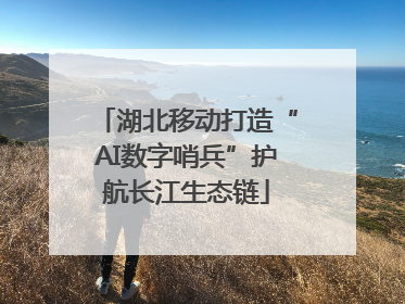湖北移动打造“AI数字哨兵”护航长江生态链