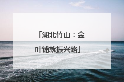 湖北竹山：金叶铺就振兴路