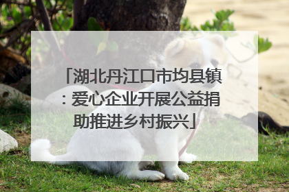 湖北丹江口市均县镇：爱心企业开展公益捐助推进乡村振兴