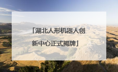 湖北人形机器人创新中心正式揭牌