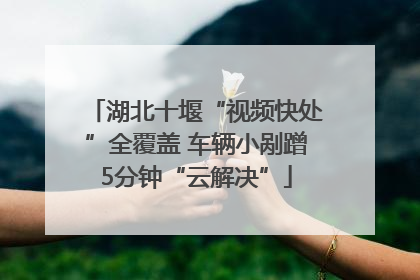 湖北十堰“视频快处”全覆盖 车辆小剐蹭5分钟“云解决”