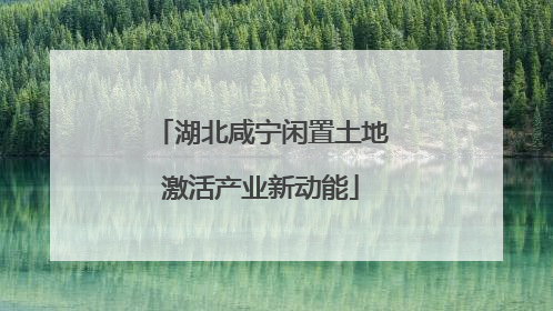湖北咸宁闲置土地激活产业新动能