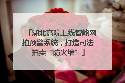 湖北高院上线智能网拍预警系统，打造司法拍卖“防火墙”