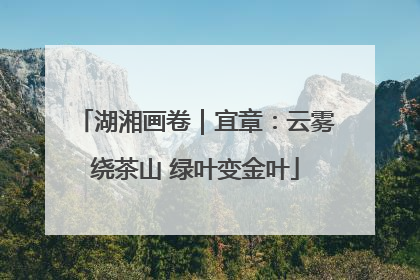 湖湘画卷｜宜章：云雾绕茶山 绿叶变金叶