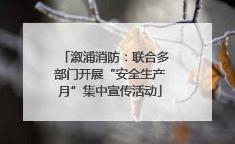 溆浦消防：联合多部门开展“安全生产月”集中宣传活动