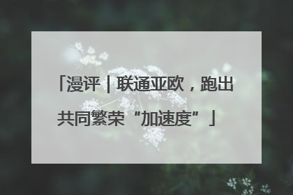 漫评｜联通亚欧，跑出共同繁荣“加速度”
