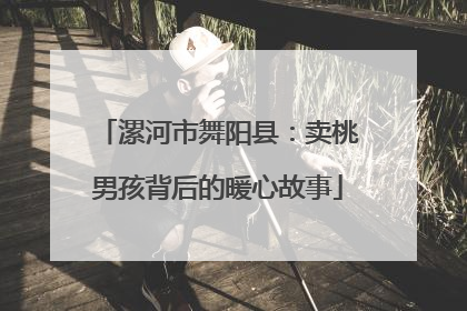 漯河市舞阳县：卖桃男孩背后的暖心故事