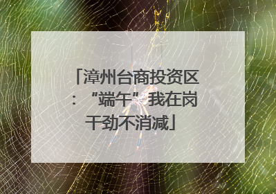 漳州台商投资区：“端午”我在岗 干劲不消减