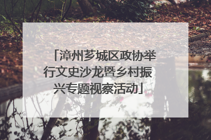 漳州芗城区政协举行文史沙龙暨乡村振兴专题视察活动