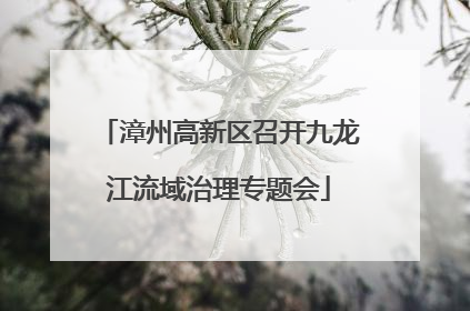 漳州高新区召开九龙江流域治理专题会