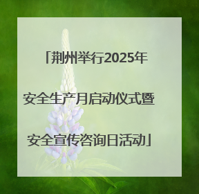 荆州举行2025年安全生产月启动仪式暨安全宣传咨询日活动
