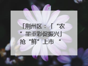 荆州区：「“农”墨重彩促振兴」抢“鲜”上市 “采摘经济”助农“甜蜜增收”