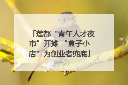 莲都“青年人才夜市”开摊 “盒子小店”为创业者兜底