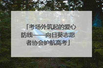 考场外筑起的爱心防线——向日葵志愿者协会护航高考