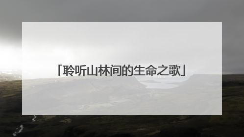 聆听山林间的生命之歌