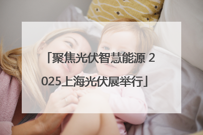 聚焦光伏智慧能源 2025上海光伏展举行