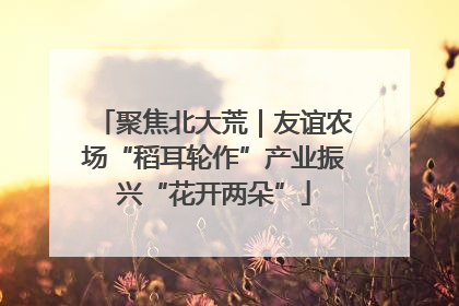 聚焦北大荒｜友谊农场“稻耳轮作”产业振兴“花开两朵”