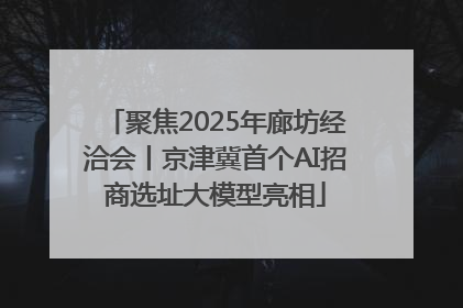 聚焦2025年廊坊经洽会丨京津冀首个AI招商选址大模型亮相