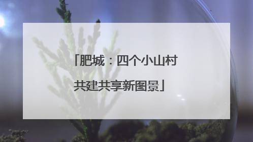肥城：四个小山村共建共享新图景