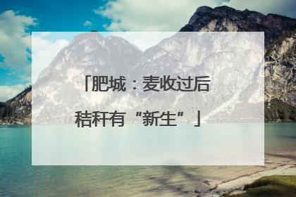 肥城：麦收过后秸秆有“新生”
