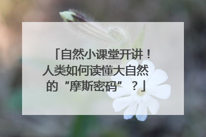 自然小课堂开讲！人类如何读懂大自然的“摩斯密码”？