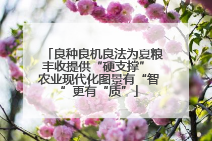 良种良机良法为夏粮丰收提供“硬支撑” 农业现代化图景有“智”更有“质”