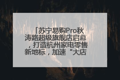 苏宁易购Pro秋涛路超级旗舰店启幕，打造杭州家电零售新地标，加速“大店攻略”全省布局