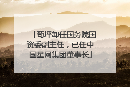 苟坪卸任国务院国资委副主任，已任中国星网集团董事长