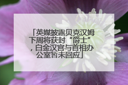 英媒披露贝克汉姆下周将获封“爵士”，白金汉宫与首相办公室暂未回应