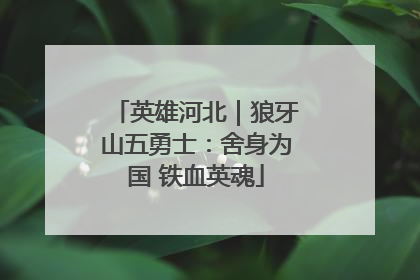 英雄河北｜狼牙山五勇士：舍身为国 铁血英魂