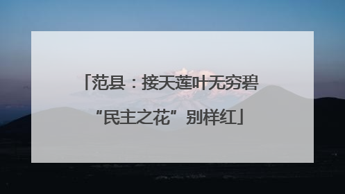 范县：接天莲叶无穷碧 “民主之花”别样红