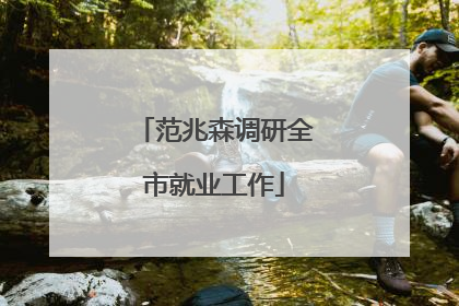 范兆森调研全市就业工作