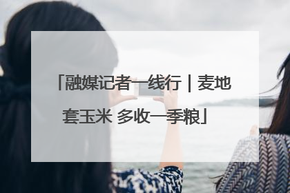 融媒记者一线行｜麦地套玉米 多收一季粮