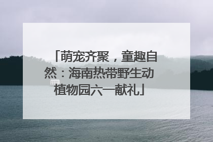 萌宠齐聚，童趣自然：海南热带野生动植物园六一献礼