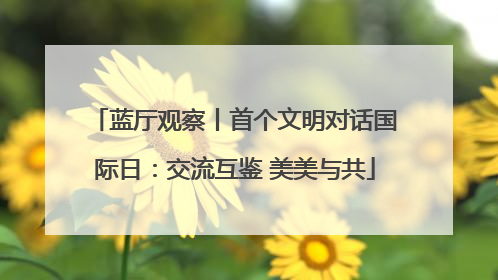蓝厅观察丨首个文明对话国际日：交流互鉴 美美与共