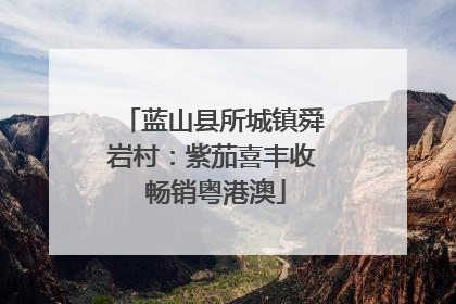 蓝山县所城镇舜岩村：紫茄喜丰收 畅销粤港澳