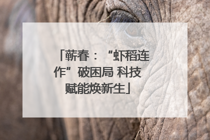 蕲春：“虾稻连作”破困局 科技赋能焕新生