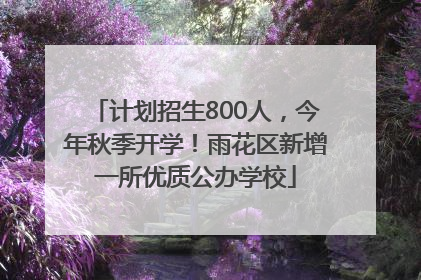 计划招生800人，今年秋季开学！雨花区新增一所优质公办学校