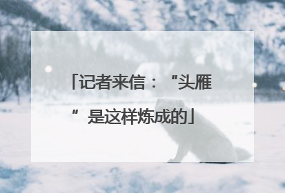 记者来信：“头雁”是这样炼成的