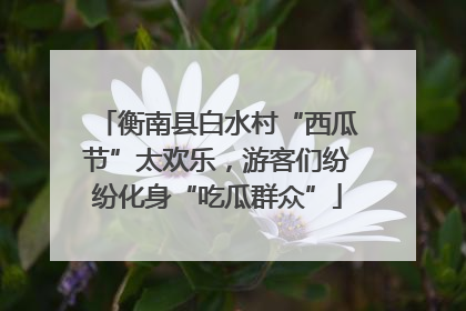 衡南县白水村“西瓜节”太欢乐，游客们纷纷化身“吃瓜群众”