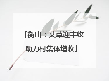 衡山：艾草迎丰收 助力村集体增收