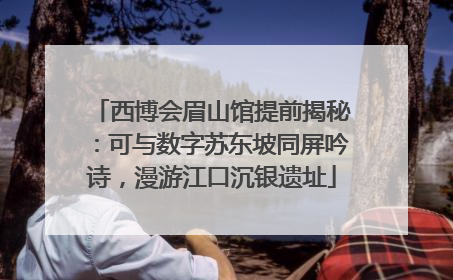 西博会眉山馆提前揭秘：可与数字苏东坡同屏吟诗，漫游江口沉银遗址