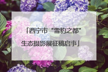 西宁市“雪豹之都”生态摄影展征稿启事