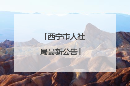 西宁市人社局最新公告