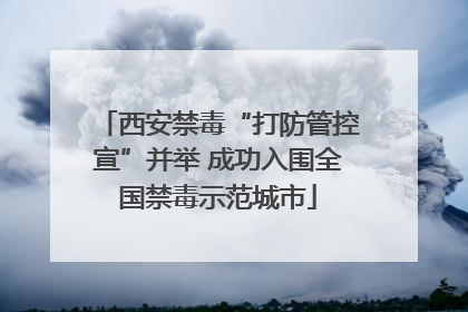 西安禁毒“打防管控宣”并举 成功入围全国禁毒示范城市