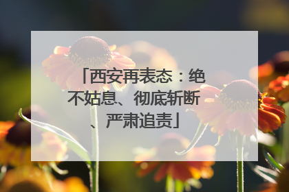 西安再表态：绝不姑息、彻底斩断、严肃追责